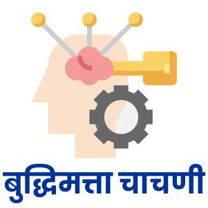 बुद्धिमत्ता चाचणी 